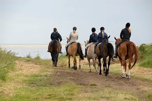 Passeios a Cavalo