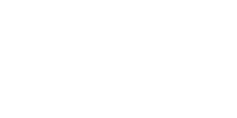 Item 7