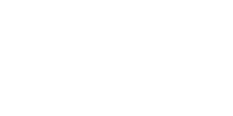 Item 6